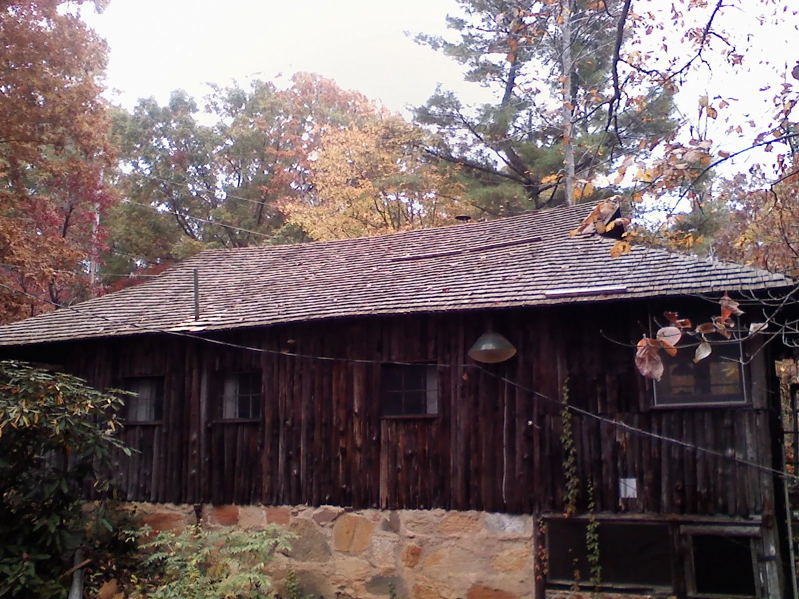 Weathered wood shake roof on a rustic board sided cabin in Neilton
