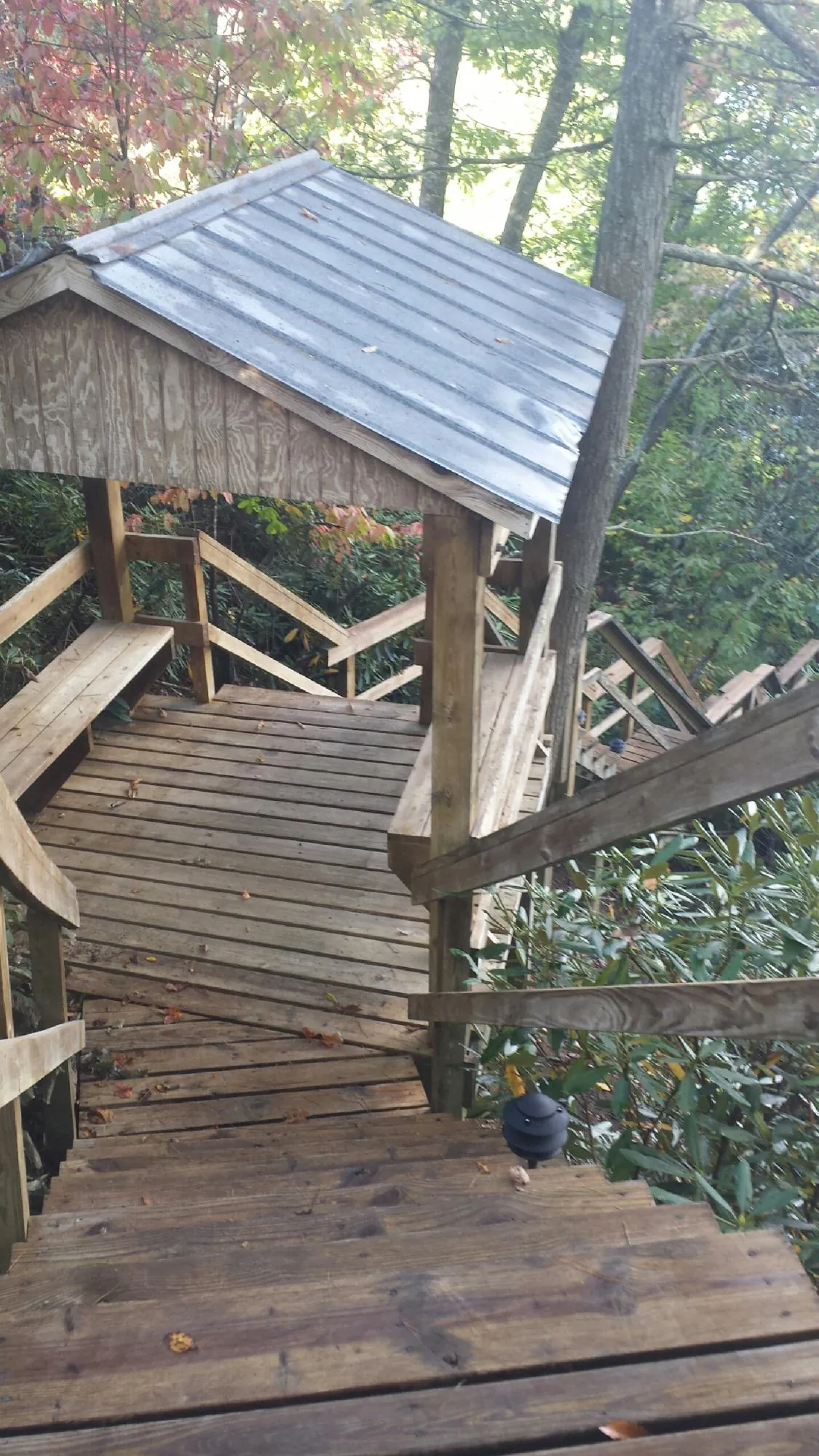 Metal roofed shelter over wooden steps on a wooded walkway — Skylight Repair & Installation work by our crew in Neilton
