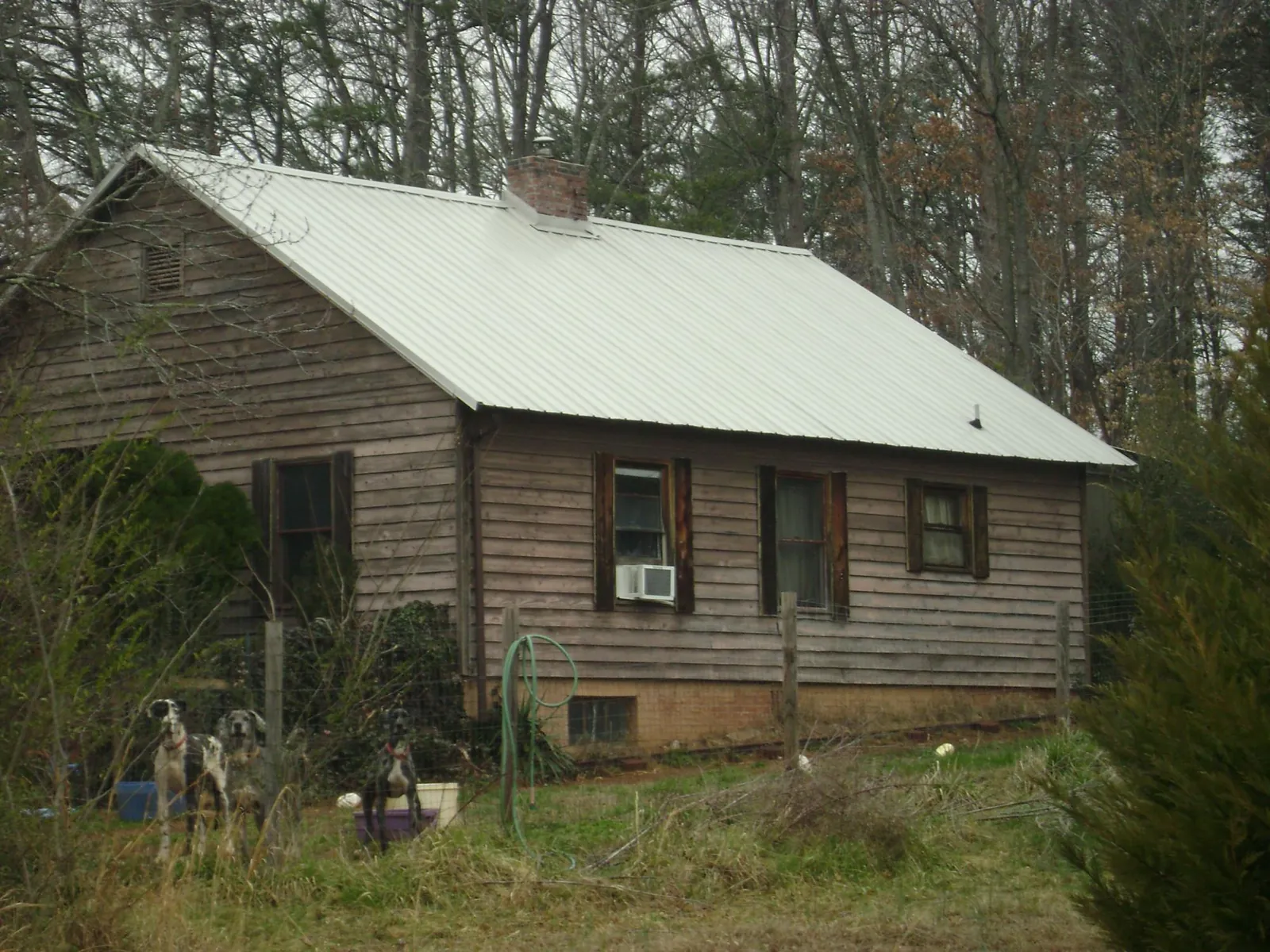 White metal roof on an old wood sided farmhouse, from a Metal Roof Installation job in Neilton